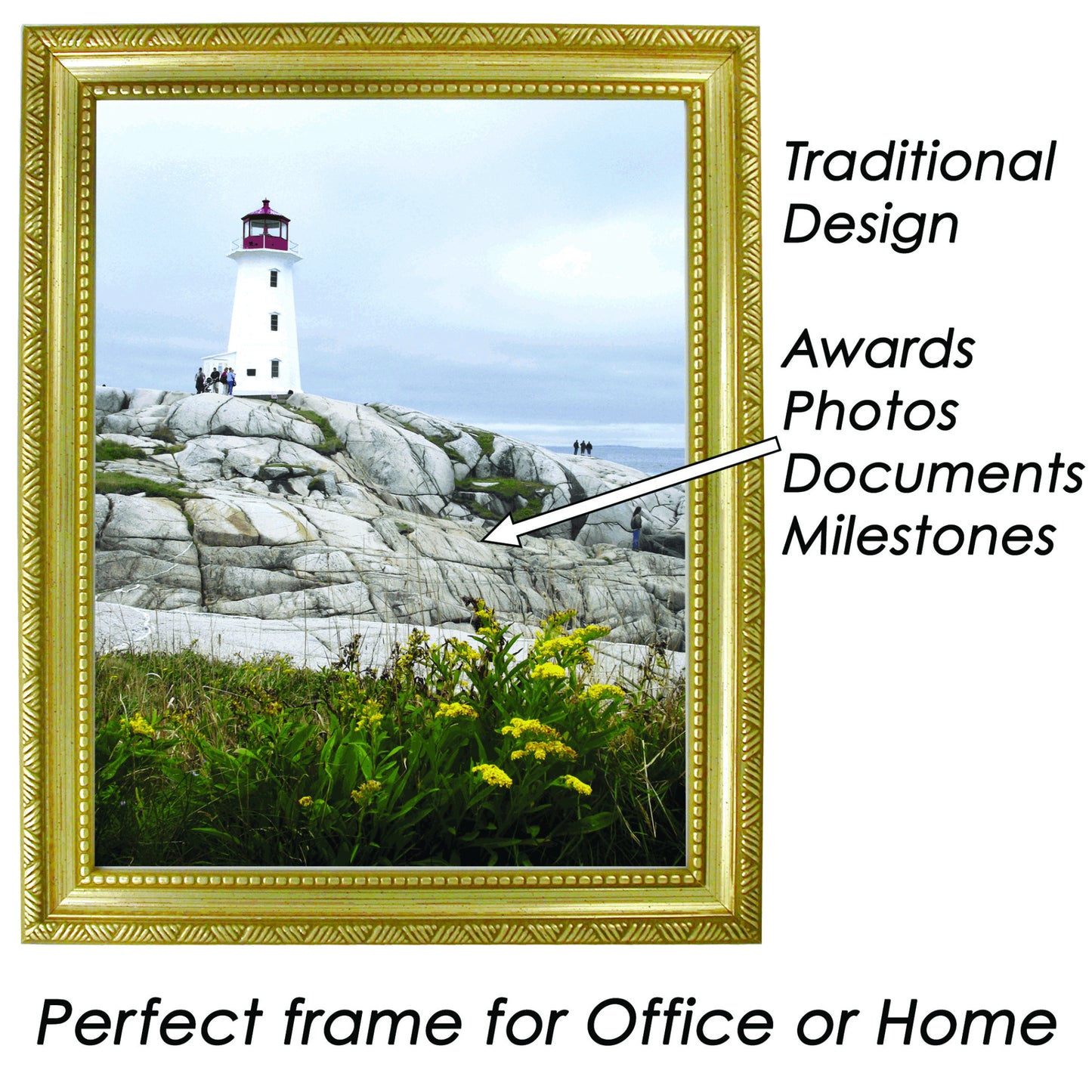 Prestigious Traditional Document Gold Frame with Plastic Cover 11" x 14"