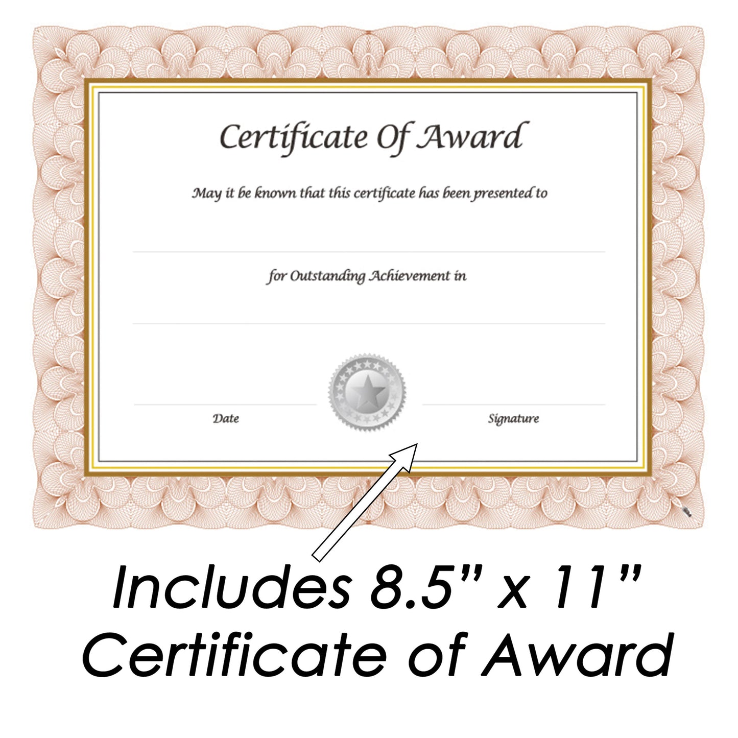 Economical Award Plaque Series 8.5" x 11" Insert Oak Plaque