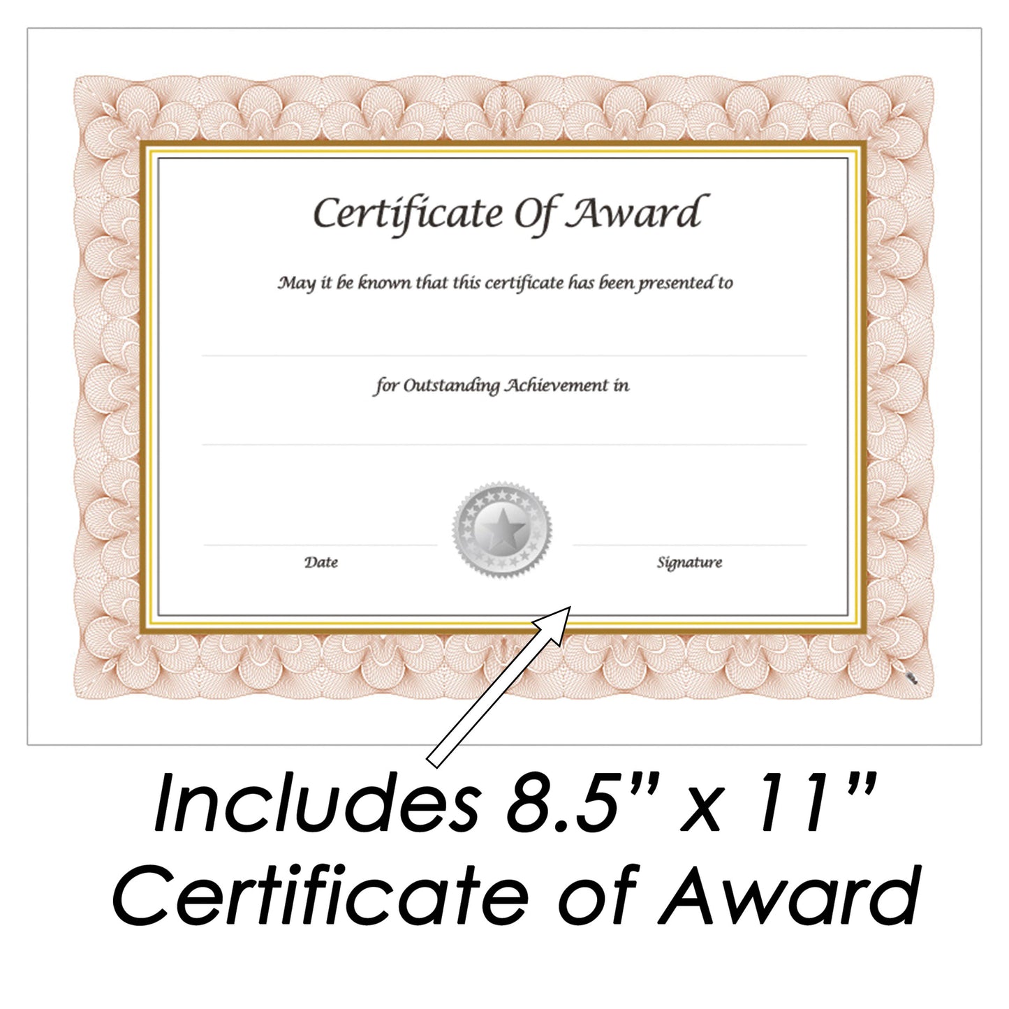 Economical Award Plaque Series 8.5" x 11" Insert Oak Plaque