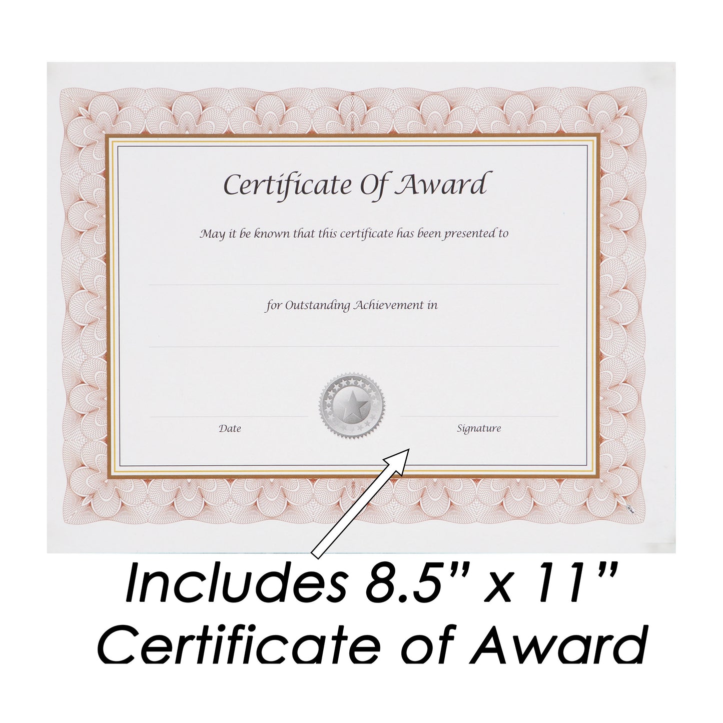 Economical Award Plaque Series 8.5" x 11" Insert Black Marble Plaque