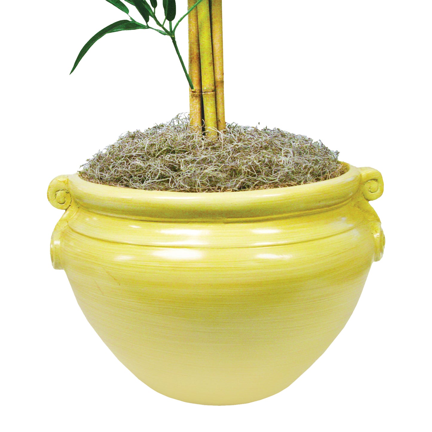 Ash Color Fiberglass Tree Container